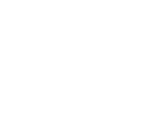 200 Presentations