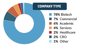 Company Type Demographic