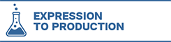 Expression to Production